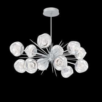 Luna Oval Starburst (1289|PLB0095-0D-CS-FC-001-L1)