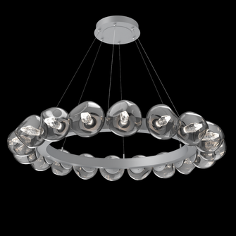 Luna Radial Ring - 48-Inch (1289|CHB0095-48-CS-GS-CA1-L1)