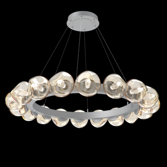 Luna Radial Ring - 48-Inch (1289|CHB0095-48-CS-GA-CA1-L1)