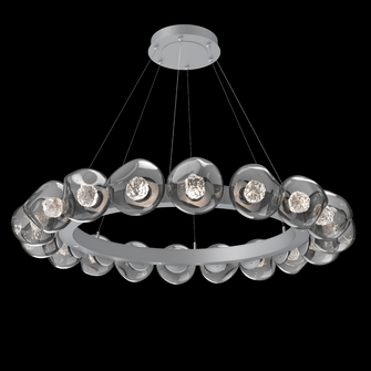 Luna Radial Ring - 48-Inch (1289|CHB0095-48-CS-FS-CA1-L1)