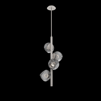 Luna Twisted Vine Chandelier (1289|CHB0095-T4-BS-FS-001-L1)