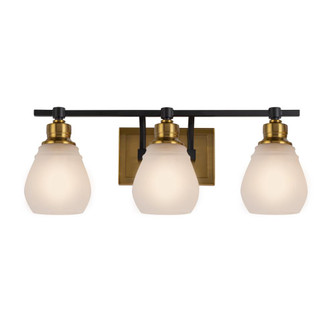 Nelson Collection 3-Light Bathroom Brass & Black (12|AC11683BB)