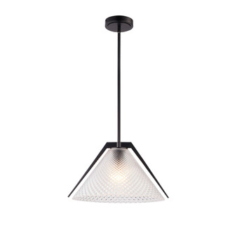 Baltic Collection 1-Light Pendant Black (12|AC11911BK)