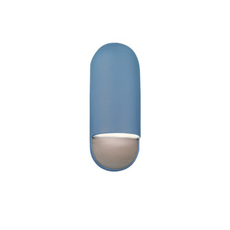 Small ADA Capsule Outdoor LED Wall Sconce (254|CER-5620W-SKBL-LED1-1000)