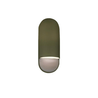 Small ADA Capsule Outdoor LED Wall Sconce (254|CER-5620W-MGRN-LED1-1000)