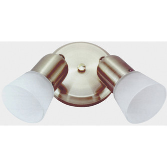 Omni, Double Head Ceiling/Wall, Frosted Glass, 60W A15 or R16 (801|ICW5201)