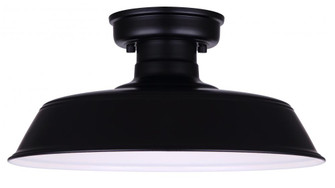 RANE, IOL519BK, MBK Color, 1 Lt Outdoor Semi-Flush Light, 100W Type A, 16.375inc (801|IOL519BK)