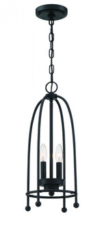 2 LT PENDANT, BLACK (4304|37989-024)