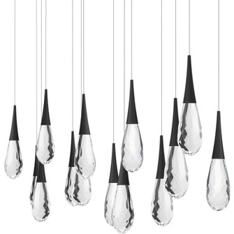 Hibiscus 14 Light 120-277V Multi-Light Pendant (Linear Canopy) in Black with Clear Optic Crystal (1118061|BPD21214L-BK)