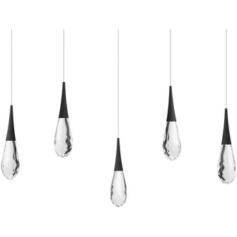 Hibiscus 5 Light 120-277V Multi-Light Pendant (Linear Canopy) in Black with Clear Optic Crystal (1118061|BPD21205L-BK)