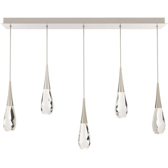 Hibiscus 5 Light 120-277V Multi-Light Pendant (Linear Canopy) in Polished Nickel with Clear Optic (1118061|BPD21205L-PN)