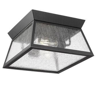 Lucian Collection 2-Light Outdoor Flushmount Black (12|AC8866BK)