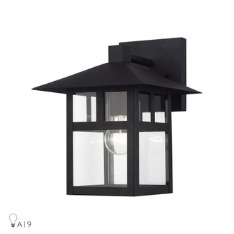 1 Light Satin Gold Large Outdoor Wall Lantern with Clear Glass (108|21323-14)