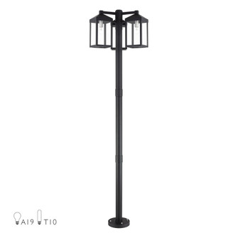 Multi Head Black Outdoor Post Light with Brushed Nickel Accents and Clear Glass (108|20597-04)