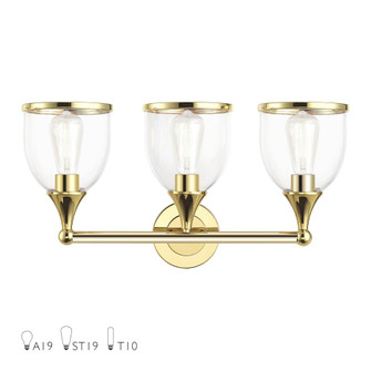 3 Light Polished Brass Vanity Sconce with Mouth Blown Clear Glass (108|14133-02)