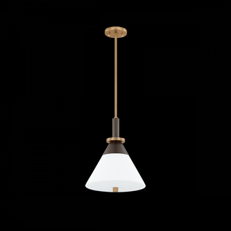 STATON Pendant (52|F4212-PBR/BRZ)