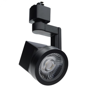 Lantern; 12 Watt LED Track Head; 36 Degree Beam Spread; 3000K; Black Finish (81|TH662)