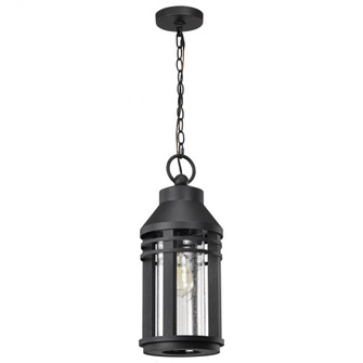 Wilton; 1 Light Hanging Lantern; Matte Black with Clear Seeded Glass (81|60/8104)