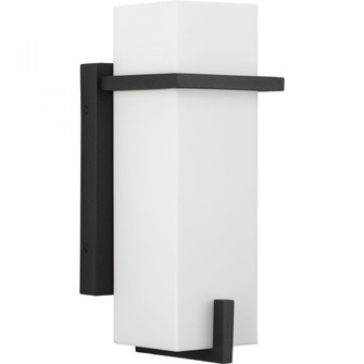 P560361-031 1-L WALL LANTERN (149|P560361-031)