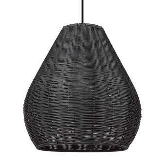Wry Lighting Melany 1-light Outdoor Pendant in Natural Black (36|6084-O1P NB-MBW)