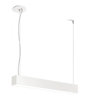 4' LED Linear Suspension Mount, 2''Wide, 3500K, White (4304|F55435WSUS)