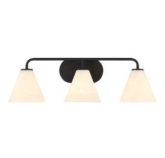 Blair 3-Light Bathroom Vanity Light in Matte Black (128|8-2988-3-BK)