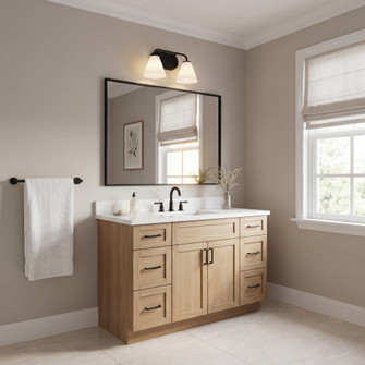 Blair 2-Light Bathroom Vanity Light in Matte Black (128|8-2988-2-BK)