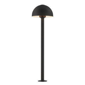 Alumilux Landscape-Outdoor Pathway Light (94|E41453-BK-24)