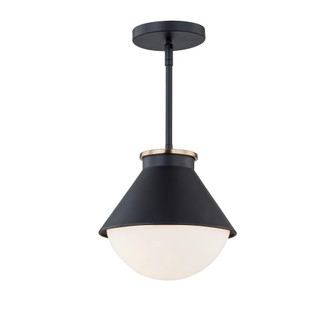 Ravelle Medium Outdoor Pendant (254|FSN-7686W-OPAL-MBBR)