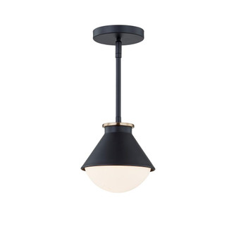 Ravelle Small Outdoor Pendant (254|FSN-7685W-OPAL-MBBR)