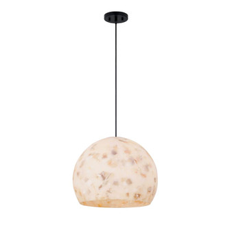 Globe 13'' Pendant (254|ALR-6535-MBLK)