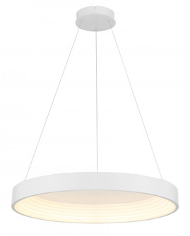 LED 24'' Pendant with Frosted Acrylic in a Matte White Finish (77|P5555-44B-L)