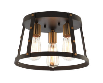 Beaton Ceiling Mount (3605|X72003MBAG)