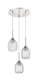 Berkshire - 3 Light - 20 inch - Polished Nickel - Cord Hung - Multi Pendant (3442|323-3P-PN-G323-5CL)