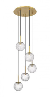 Barrington - 5 Light - 16 inch - Brushed Brass - Cord hung - Mini Pendant (3442|320-5P-BB-G320-6CL-BB)