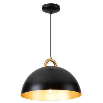 Pantheon - 1-Light Pendant - 19.5'' - Black/Rust Brass (12|AC12001BB)