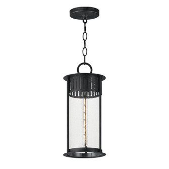 Windsor-Outdoor Pendant (19|30636CDBKP)