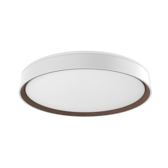 Essex 20-in White LED Flush Mount (461|FM43920-WH/WT-5CCT)