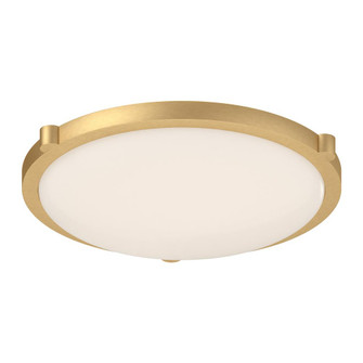 Floyd 17-in Brushed Gold LED Flush Mount (461|501122BG-LED-5CCT)