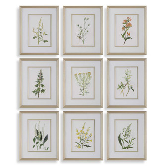 Uttermost Botanical Flowers Framed Prints Set/9 (85|32339)