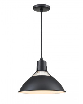 R Series 1-Light Cord Hung Glass Cone Satin Black (670|RGCC13-SB)