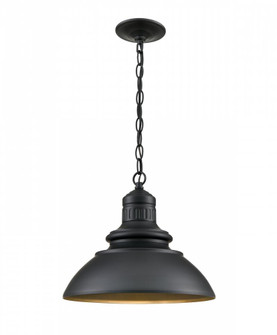 Adda  Outdoor Hanging Lantern Powder Coated Black (670|81103-PBK)