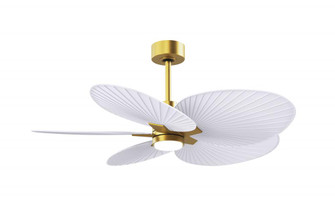 Alessandra Tropical-Five Blade Ceiling Fan-5CCT Integrated LED-Brushed Brass Finish (230|AKTPLK-BRBR-MWH)