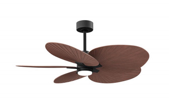 Alessandra Tropical-Five Blade Ceiling Fan-5CCT Integrated LED-Matte Black Finish (230|AKTPLK-BK-WN)