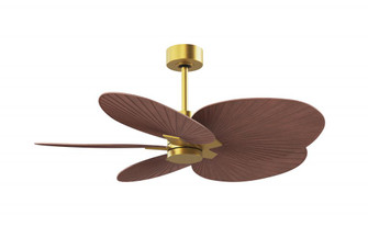 Alessandra Tropical - Five Blade Ceiling Fan - Brushed Brass Finish - Walnut Tone Blades (230|AKTP-BRBR-WN)