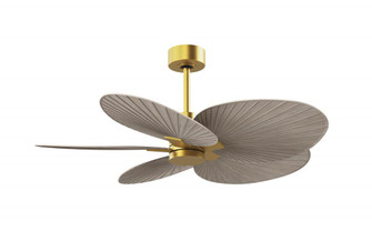 Alessandra Tropical - Five Blade Ceiling Fan - Brushed Brass Finish - Gray Ash Tone Blades (230|AKTP-BRBR-GA)