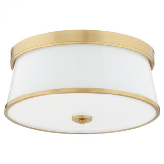 WEIR 16'' CEILING MT - AGB (83|3203-16-80)