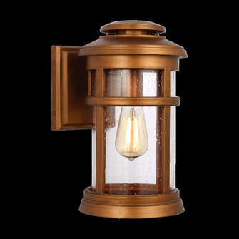 Newport Small Wall Lantern (7725|OL14301NCP)