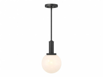 1-Light Pendant in Matte Black (8483|M7050MBK)