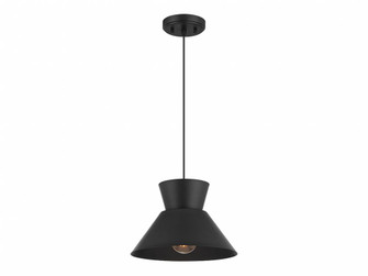 1-Light Pendant in Matte Black (8483|M7049MBK)